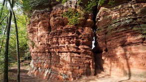 Ein Wanderhöhepunkt: Im Pfälzerwald bei Eppenbrun leuchten die Buntsandsteinfelsen in Rot gegen das Grün der Bäume an.