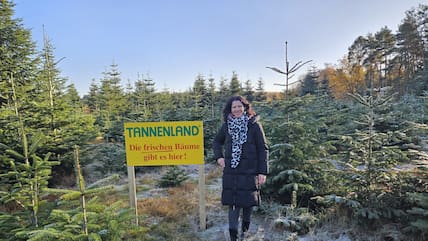 Eine Person steht in einer Weihnachtsbaumplantage neben einem gelben Schild mit der Aufschrift „Tannenland – Die frischen Bäume gibt es hier!“ umgeben von grünen, regional gezüchteten Tannenbäumen.